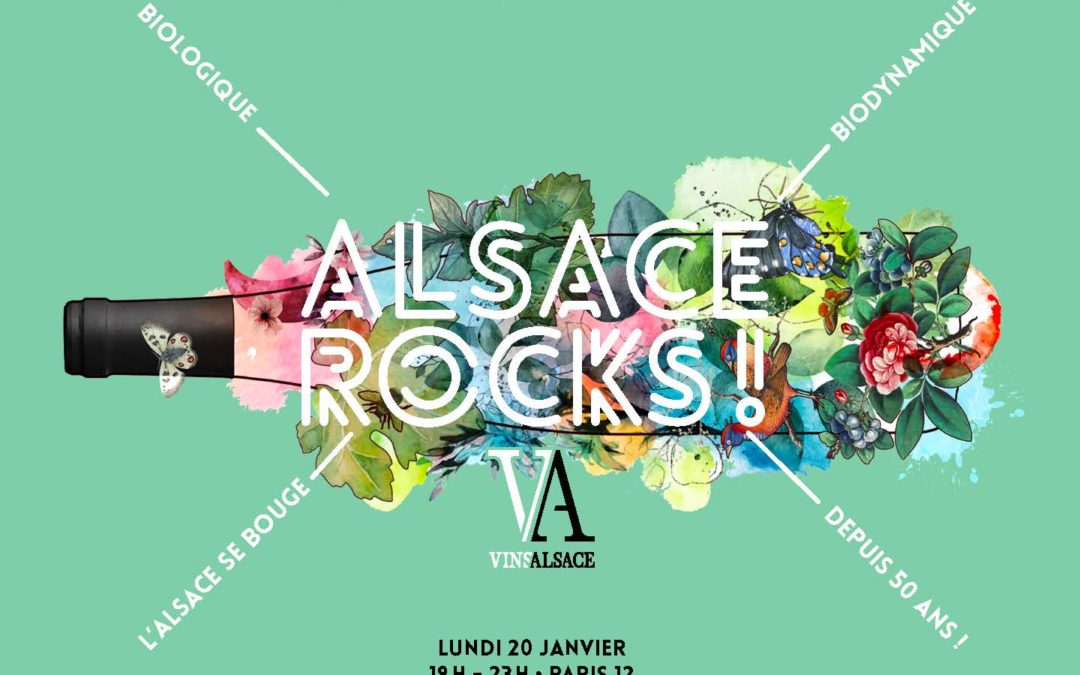 Alsace Rocks