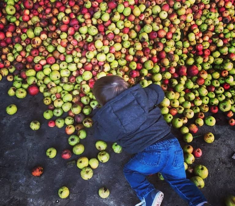 La folie du cidre