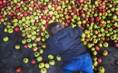 La folie du cidre