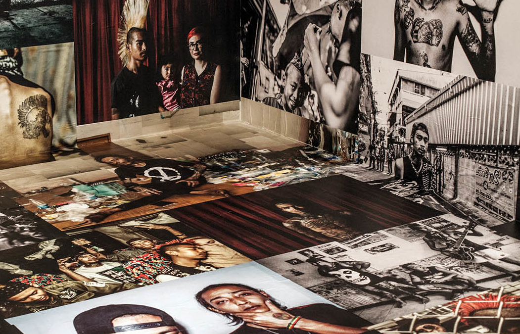 Exposition Punks Birmans