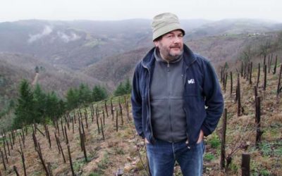 Le vin nature de Nicolas Carmarans