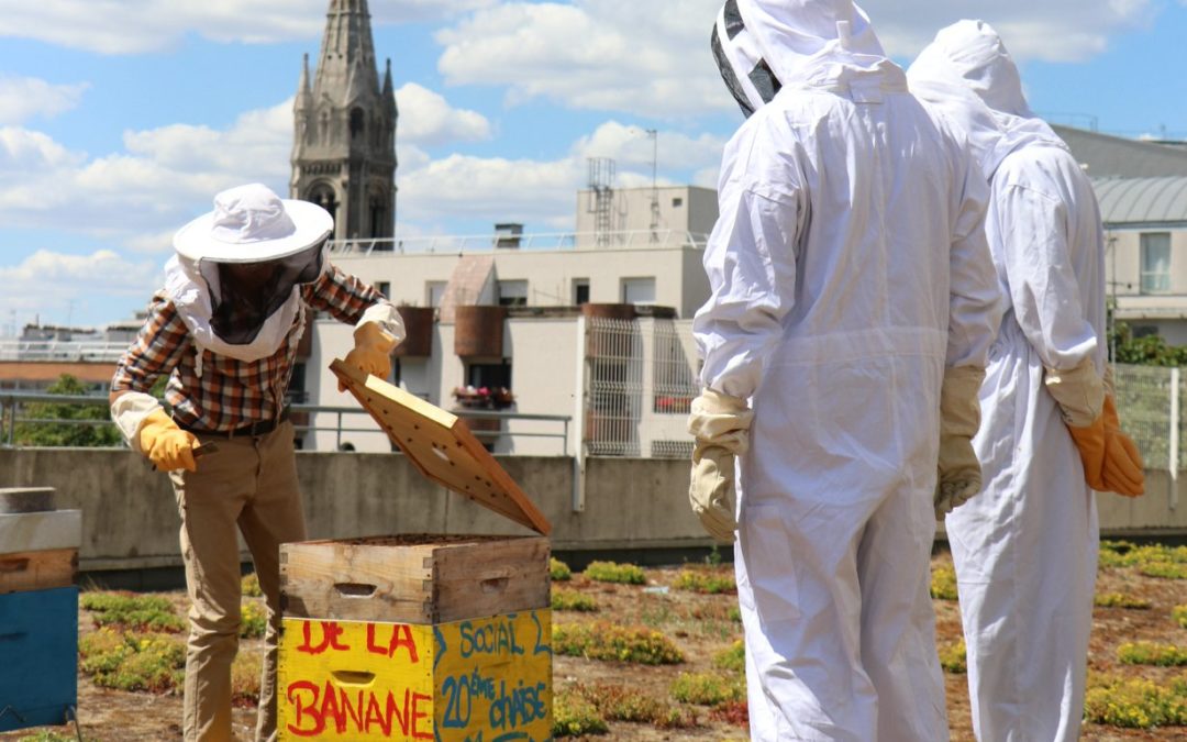 La biodiversité en ville