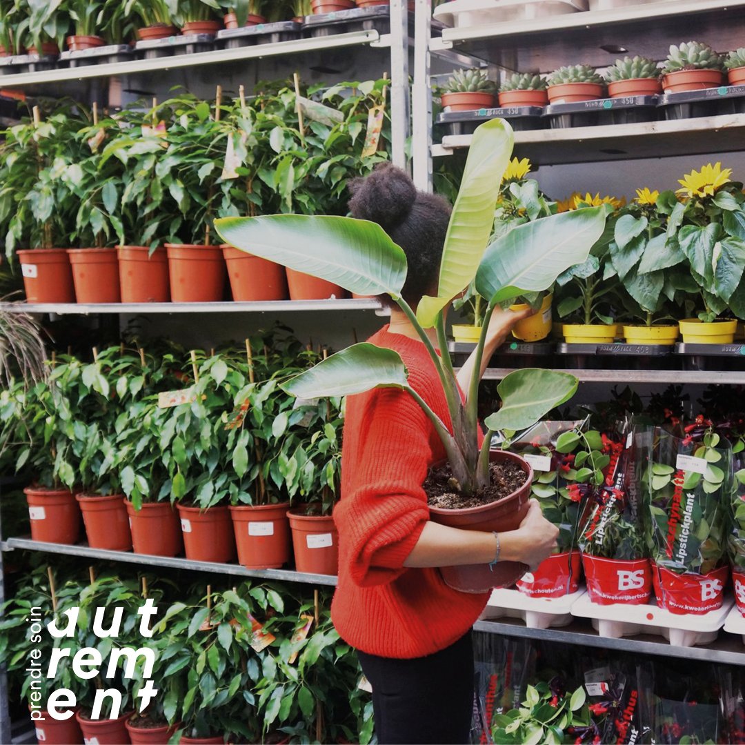 Carré_Marché aux plantes